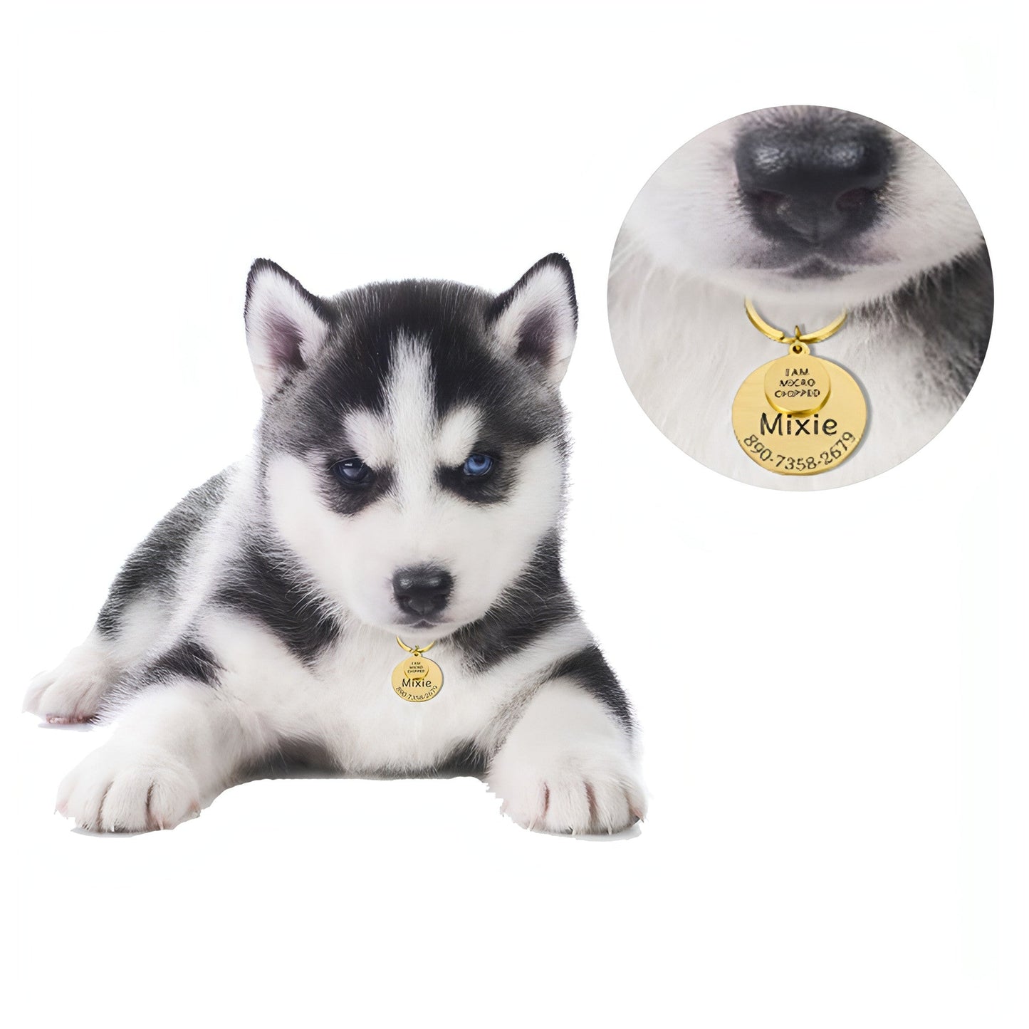 Personalized Pet ID Tag �Safe & Stylish for Dogs & Cats