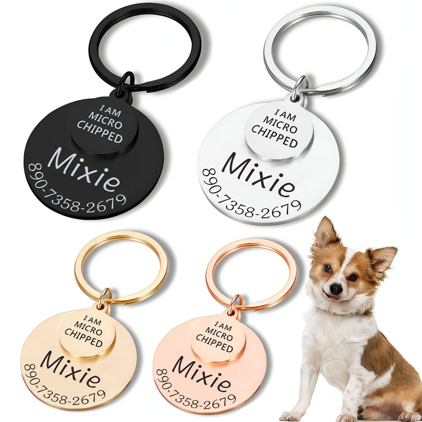Personalized Pet ID Tag �Safe & Stylish for Dogs & Cats