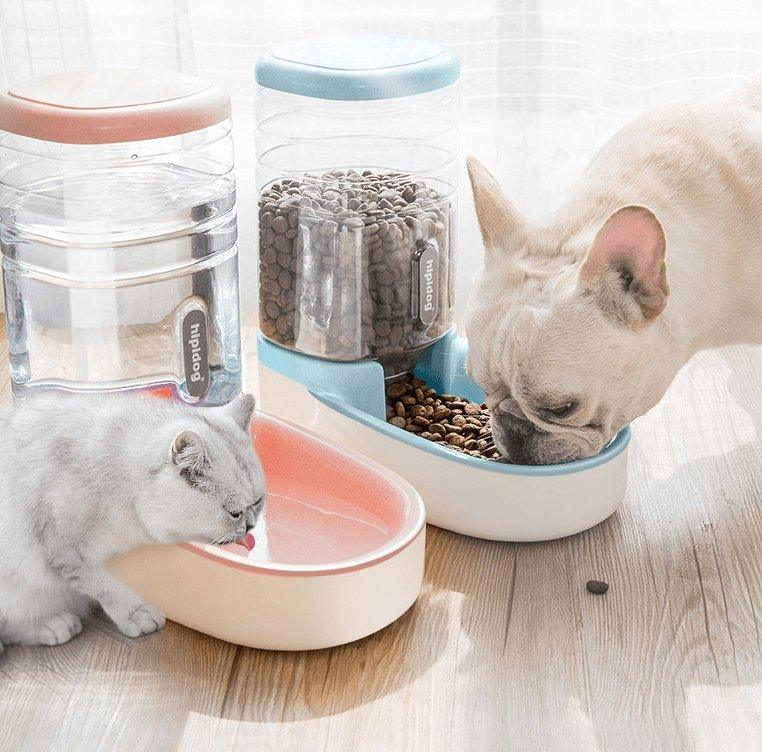 Automatic Pet Feeder And Drinking Fountain Combo